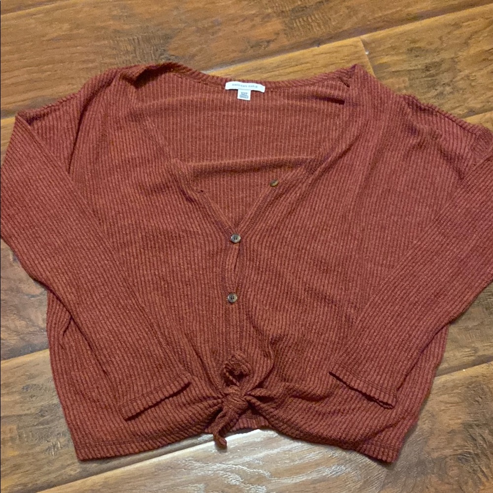 American Eagle Outfitters Terracotta Knit Sweater